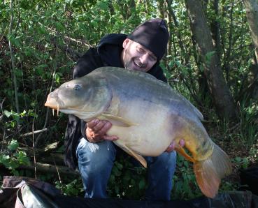 Simple Orange bt baits Boilies